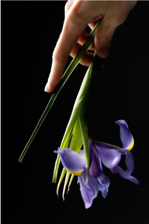 Bloemworkshop sfeerbeeld
