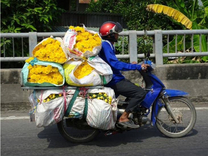 Duurzame bloemen selectie